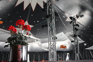 Circus tent and red flower